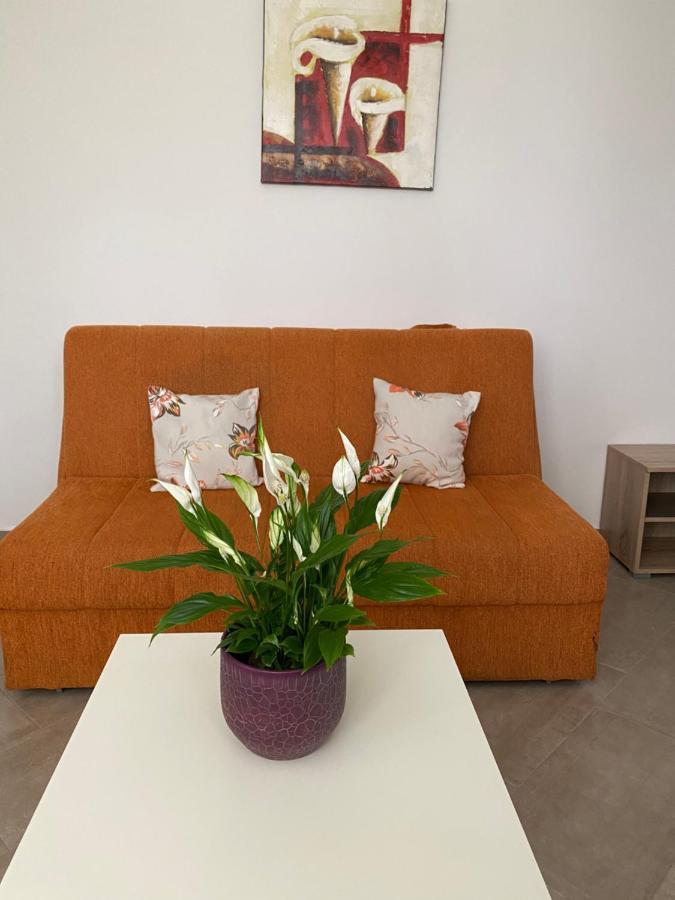 Dajkovic Apartmani バール エクステリア 写真
